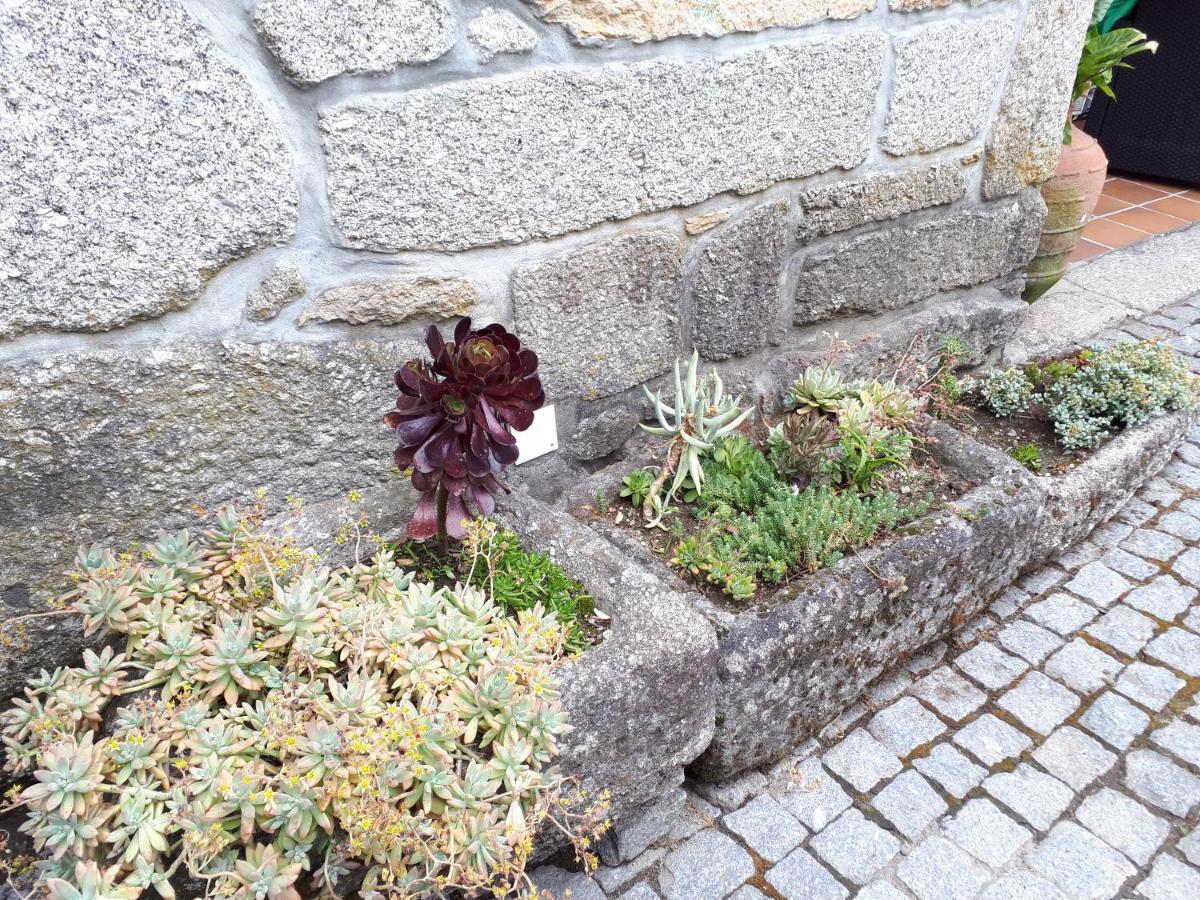 Vila Casa Da Aldeia Terras de Bouro Exteriér fotografie